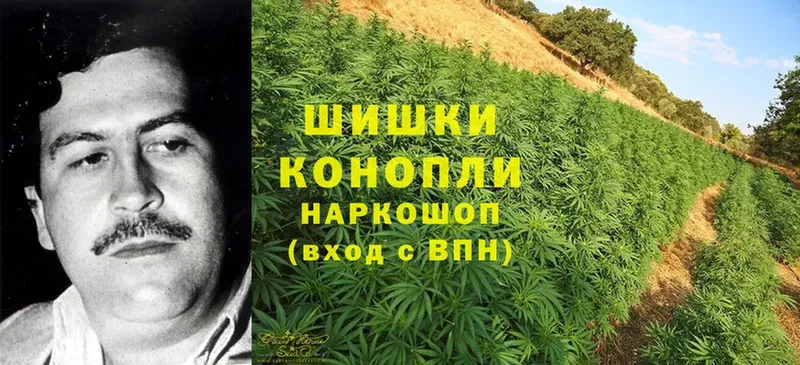 Марихуана White Widow  blacksprut ССЫЛКА  Правдинск 